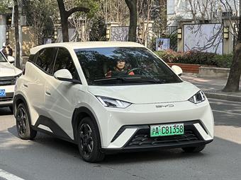 BYD Dolphin Surf Comfort 43,2 kWh — elektrisch stadsauto